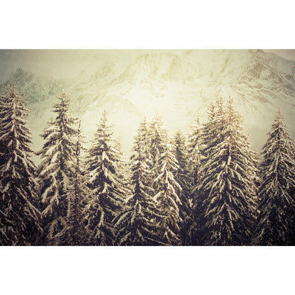 Acrylglasbild - Verschneiter Vintage-Tannenwald