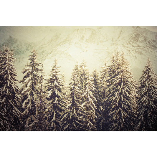 Acrylglasbild - Verschneiter Vintage-Tannenwald