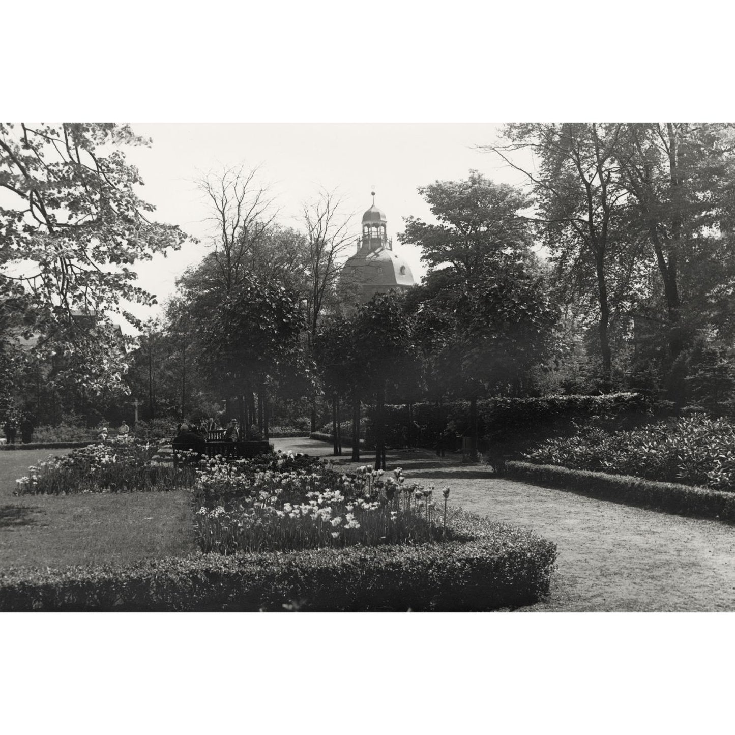 Aluminiumbild - Alter Friedhof