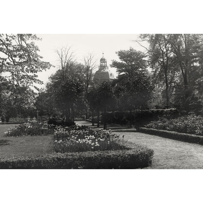 Aluminiumbild - Alter Friedhof