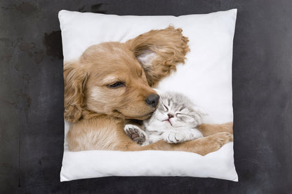 Hund und Katze Kissen