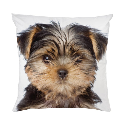 Hund Kissen