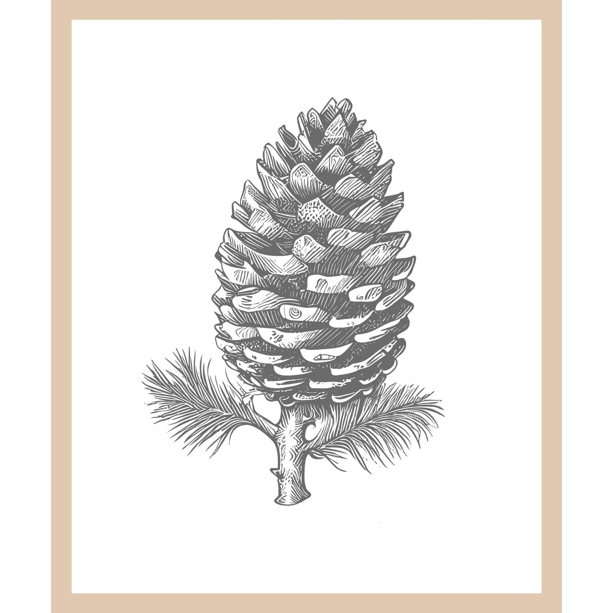 Rahmenbild - Tannenzapfen Illustration