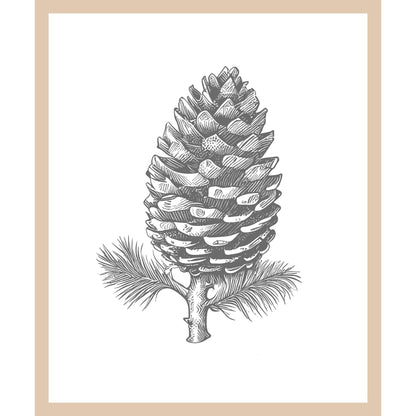 Rahmenbild - Tannenzapfen Illustration