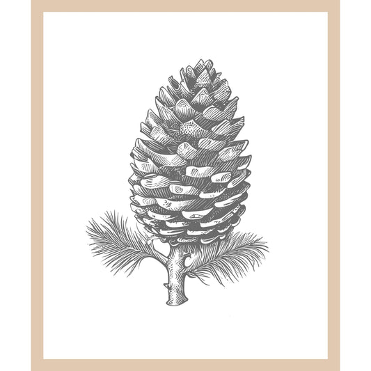 Rahmenbild - Tannenzapfen Illustration