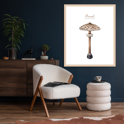 Rahmenbild - Parasol Pilz Vintage Zeichnung