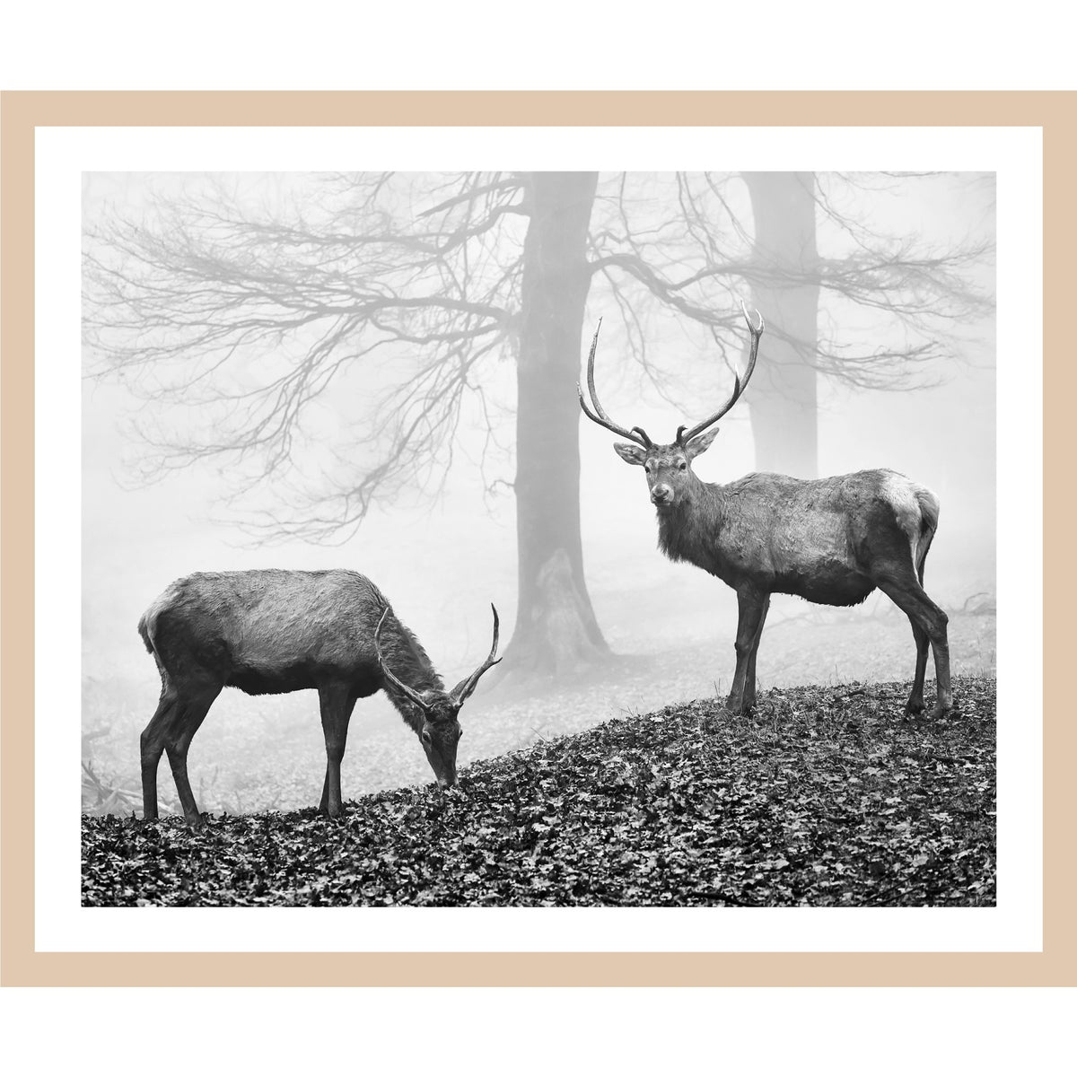 Rahmenbild - Hirsche im Nebelwald Schwarz-Weiß