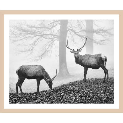 Rahmenbild - Hirsche im Nebelwald Schwarz-Weiß