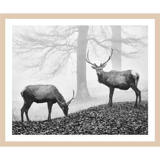 Rahmenbild - Hirsche im Nebelwald Schwarz-Weiß