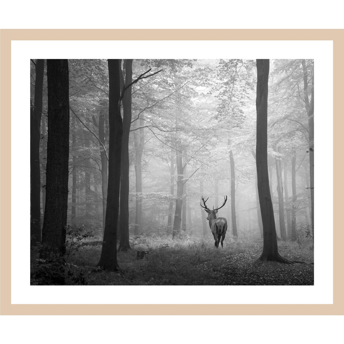 Rahmenbild - Hirsch auf Waldlichtung Monochrom