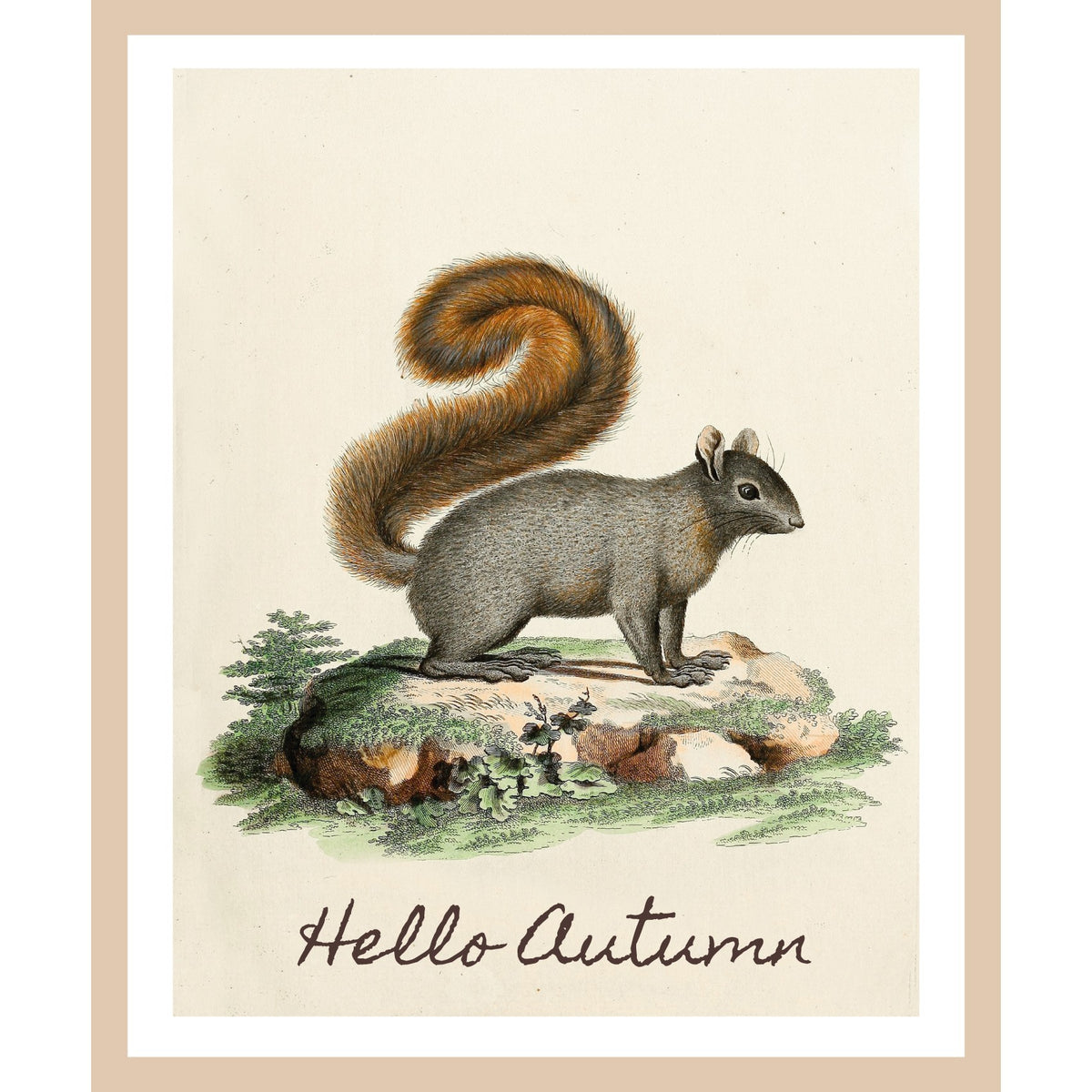 Rahmenbild - Hello Autumn Eichhörnchen Vintage Illustration