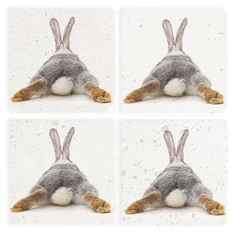 Steinuntersetzer-Set - Hase