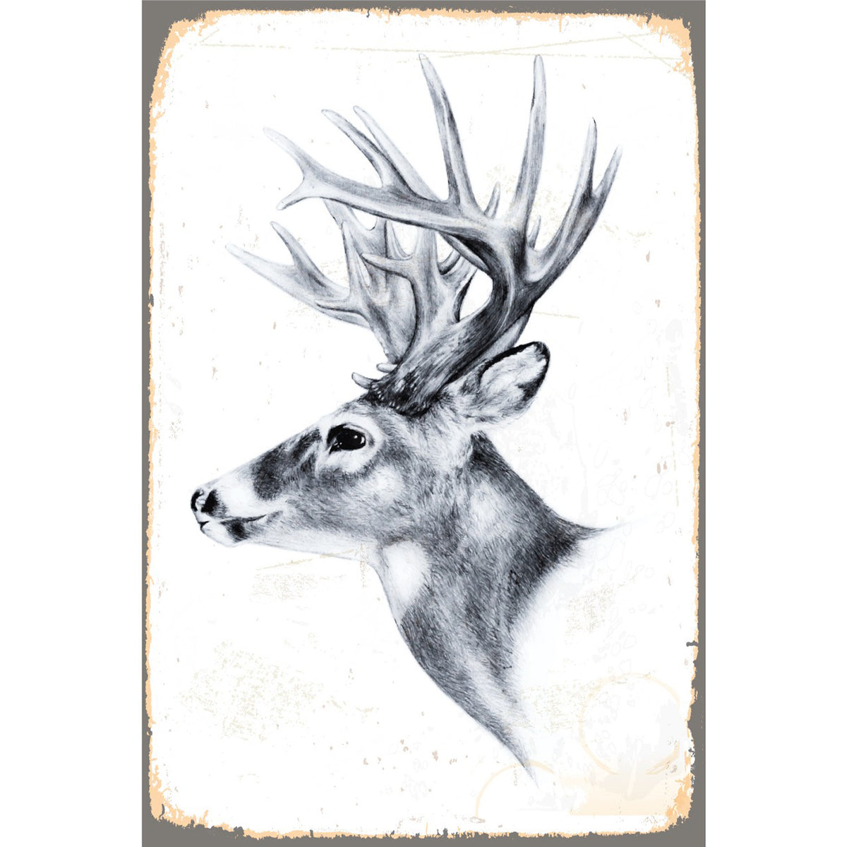 Blechschild - Majestätischer Hirsch Schwarz-Weiß
