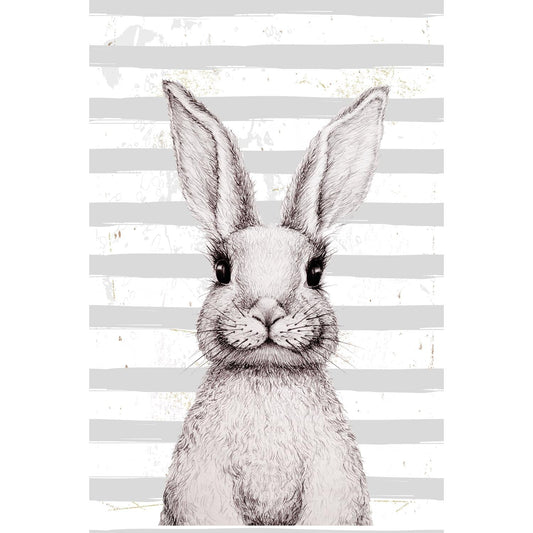 Tin sign - White rabbit with stripes