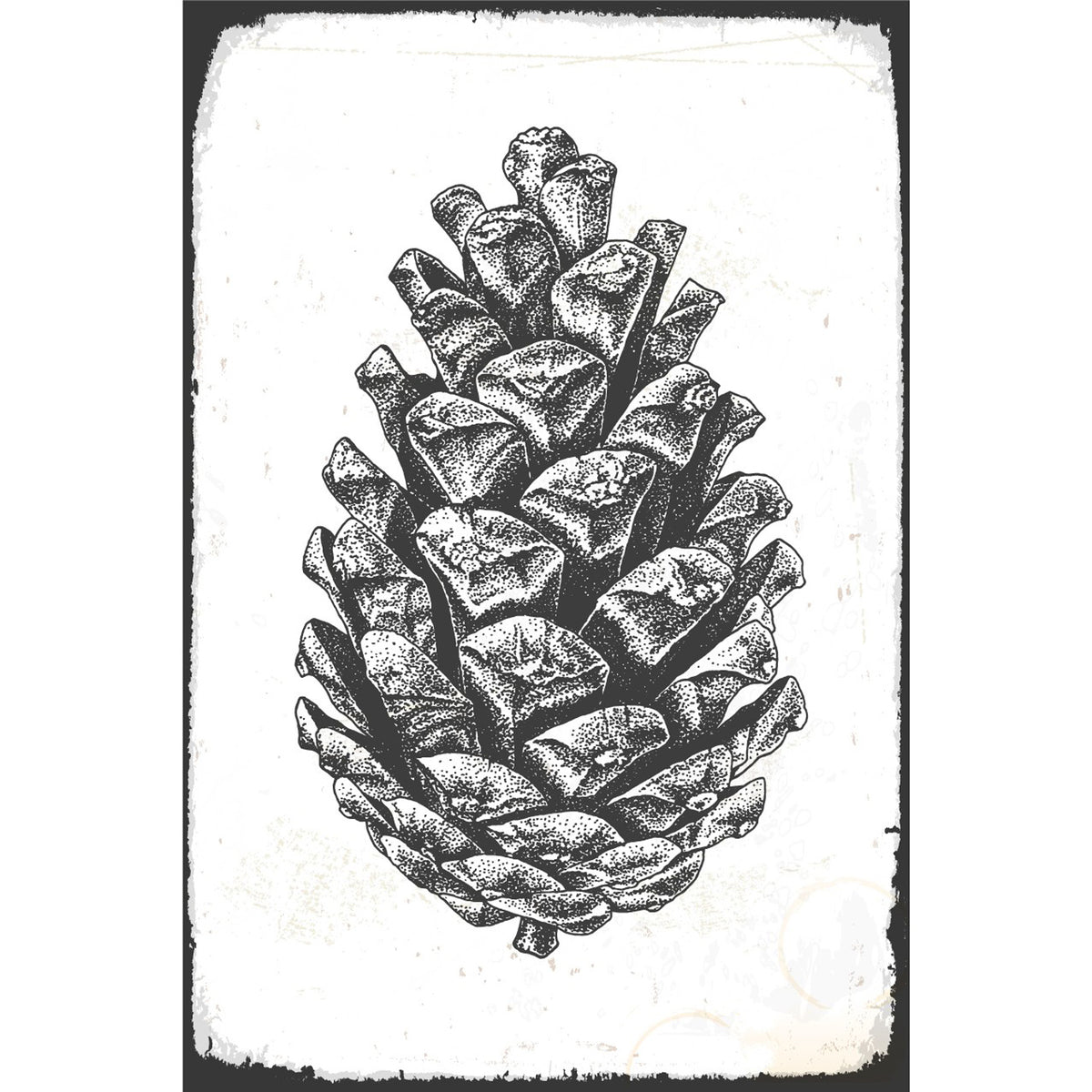 Blechschild - Tannenzapfen Vintage Skizze
