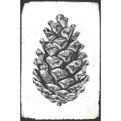 Blechschild - Tannenzapfen Vintage Skizze