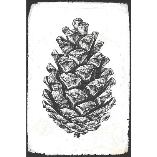 Blechschild - Tannenzapfen Vintage Skizze